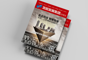 地產(chǎn)期刊《龍能發(fā)展集團》期刊內(nèi)刊排版