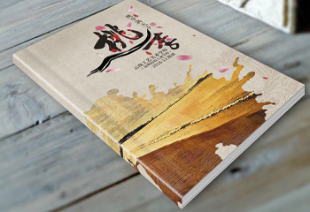 云南工藝美術(shù)學(xué)?！短依顫M天下》書籍封面設(shè)計(jì)